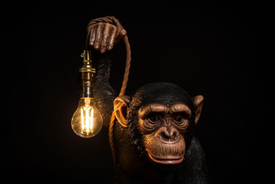 Animal holding shop light bulb